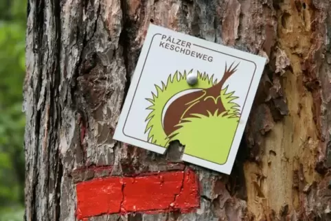 Wandern im Zeichen der Edelkastanie: Wegmarkierung des „Pälzer Keschdewegs“.