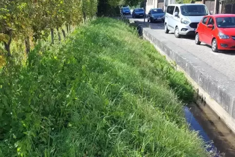 Noch verläuft der Modenbach teilweise so durch Großfischlingen. 