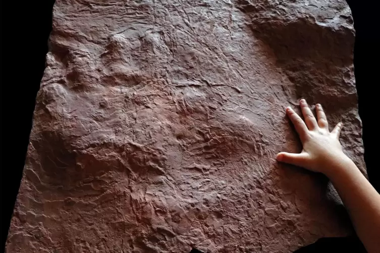 Auf dieser Sandsteinplatte ist der Fußabdruck des Ursauriers zu sehen.