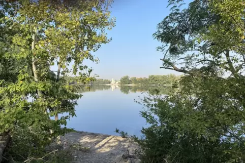 Diese lauschige Stelle am Silbersee liegt auf dem aktuell gesperrten Spazierweg.
