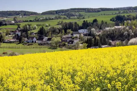 Blick auf Reichenbach-Steegen: Bei der Eilentscheidung ging es um die Neugestaltung der Internetseite der Gemeinde. 