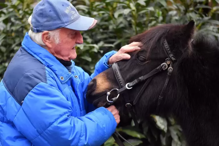 Große Erfolge als Pferdezüchter: Ulrich Tettenborn, Seniorchef der Ponyfarm. 