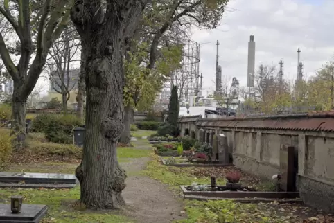 Vorne der Friedhof, hinten „die Anilin“ – eine besondere Atmosphäre in Oppau.