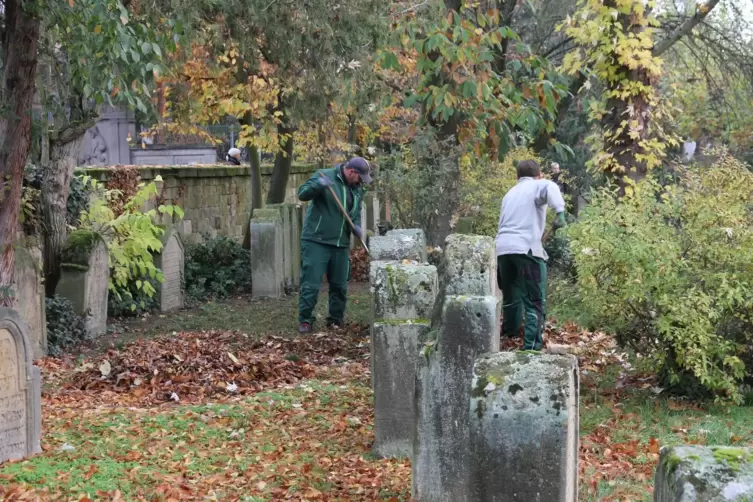 Die Herbst-Pflege des j&uuml;dischen Friedhofs &uuml;bernahm in diesem Jahr die Stadtg&auml;rtnerin Deidesheim allein, coronabedingt ohne Hilfe