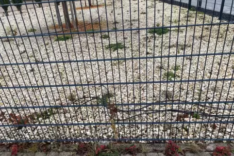 Restgrüne Selbstaufgabe: Schottergarten im Rhein-Pfalz-Kreis. Restgrüne Selbstaufgabe: Schottergarten im Rhein-Pfalz-Kreis.