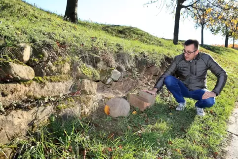 Ortsbürgermeister Christian Weber ist verärgert, dass die historischen Mauern Opfer von Dieben wurden. 