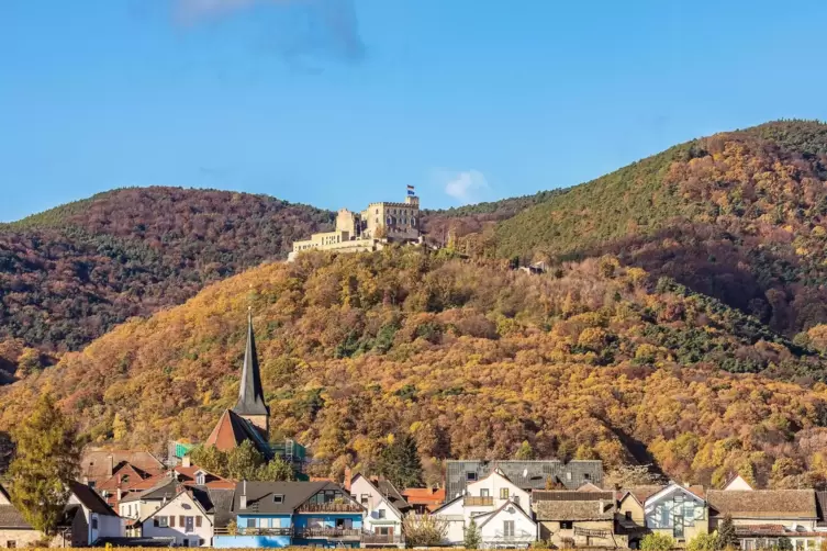 Rostrote Herbst-Impression: das November-Blatt des Neustadt-Kalenders mit Diedesfeld und dem Hambacher Schloss. 