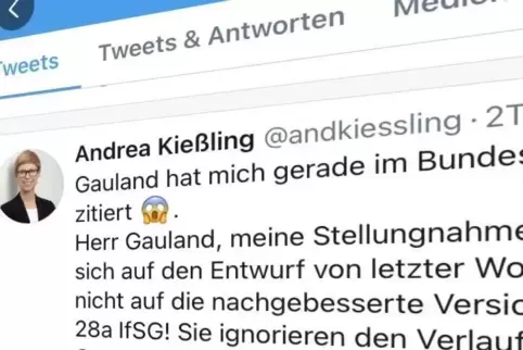 Auch auf Twitter verbat sich die Juristin Andrea Kießling, vom AfD-Fraktionschef zitiert zu werden.