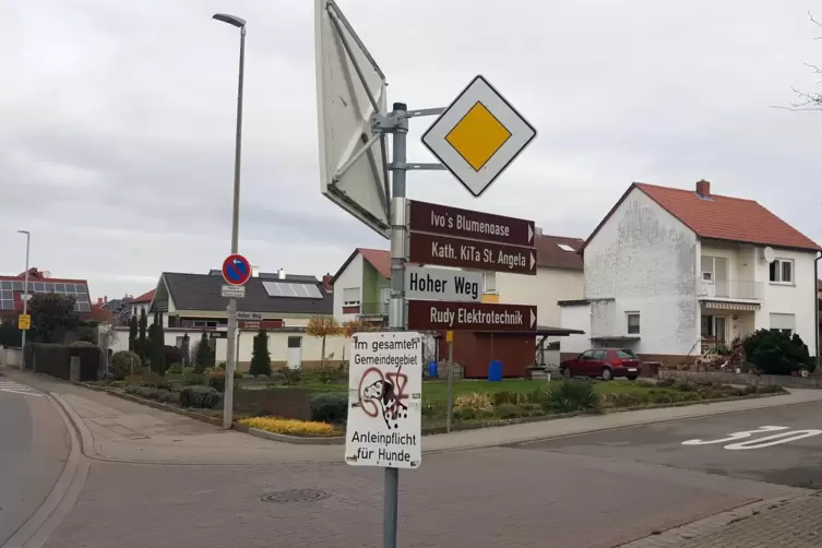 Schwer überschaubar für Autofahrer: die vielen Schilder an der Ecke Meckenheimer Straße/Hoher Weg. 