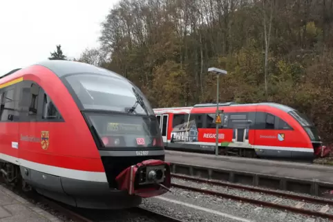 Betroffen von den Zugausfällen ist auch der stark frequentierte Abschnitt zwischen Landau und Annweiler (Foto). 
