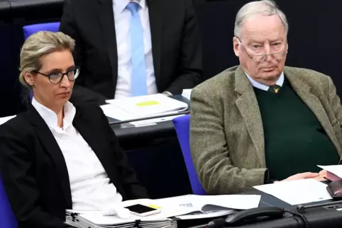 Alice Weidel und Alexander Gauland führen die AfD-Fraktion im Bundestag.