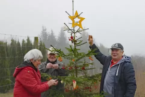 Gundula und Robert Müller sowie Michael Hoffmann schmücken einen kleinen Weihnachtsbaum am Weg zum Nackterhof.