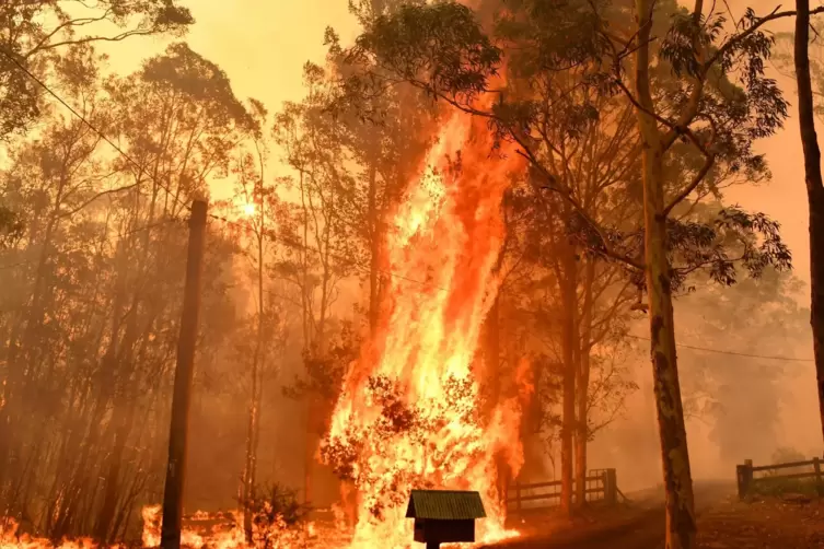 „Schon fast zu spät“: Verheerende Waldbrände wie hier in Australien sind eine Folge der Erderwärmung.
