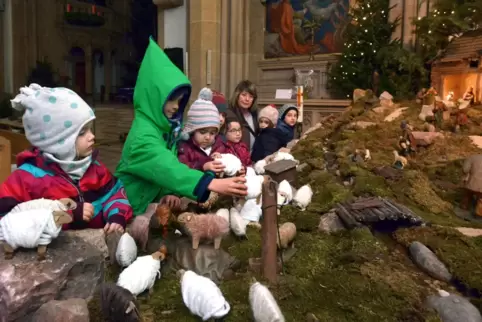 Schafe an einer Weihnachtskrippe: für die Kleinen immer eine besondere Attraktion.