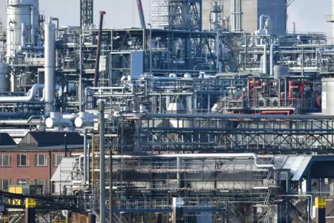 Ebenso komplex wie die Anlagen der BASF ist die Ermittlungsarbeit im Betrugsfall um nicht erbrachte Leistungen.