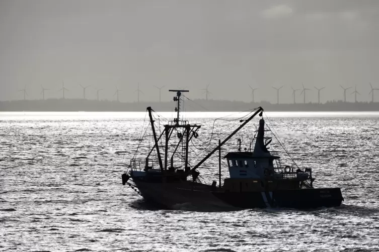 Auch wenn die Fischerei nur einen minimalen Anteil an der britischen Wirtschaftsleistung hat, so besitzt die Branche hohe Symbol