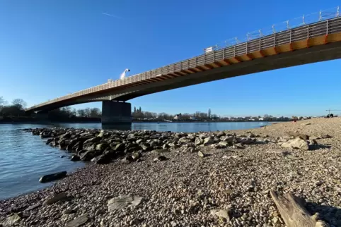 Rhein mit Salierbrücke: Der Unfall ereignete sich in der Nähe.