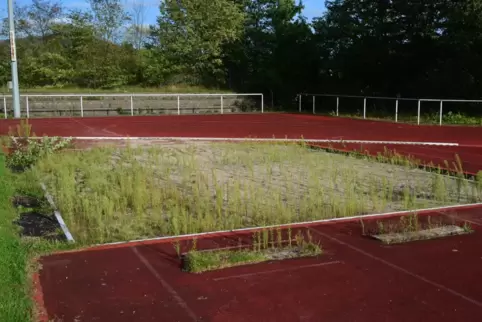 Von regelmäßiger Pflege der Leichtathletik-Anlagen, für die der Kreis zuständig ist, ist wenig zu sehen: Hier die Weitsprunganla