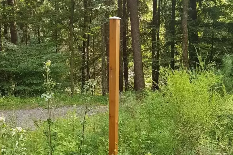 28 Pfosten stehen bereits geraume Zeit im Wald rund um Schmalenberg. Sie sollen die ausgesuchten drei Wanderwege ausschildern. F
