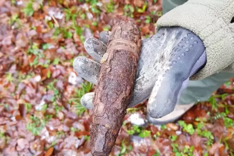 Die französische Granate ist etwa 15 Zentimeter lang.
