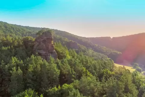 Die Felsen am Bärenbrunner Hof sind ein Schauplatz im zweiten Teil der Doku „Der Pfälzerwald rund ums Jahr“, der sich dem Sommer