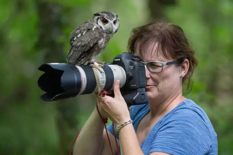 Wenn Kerstin Zielke nicht gerade die „Gekkos“ vor der Linse hat, fotografiert sie gerne in Zoos – auch in ungewöhnlicher Begleit