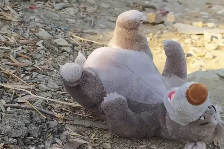 Ein vergessener Plüsch-Teddy in der Brandruine des Lagers Moria.