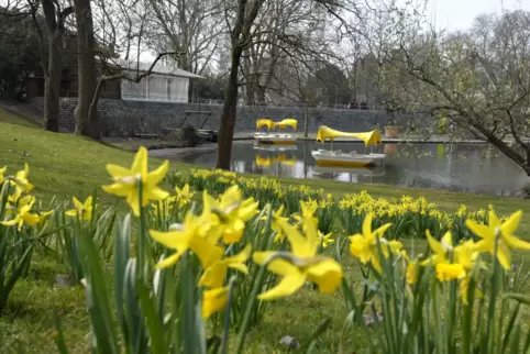 Der Luisenpark ist die grüne Lunge Mannheims.