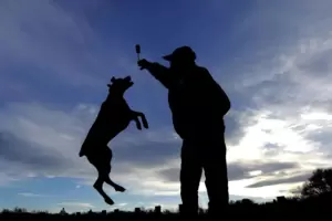  Hunde dürfen auch nach 21 Uhr ausführt werden – allerdings nur noch von einer Person.