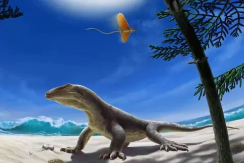 So könnte es gewesen sein: Ein Protorosaurus auf der Suche nach Koniferen-Zapfen am Strand des Zechsteinmeeres. 