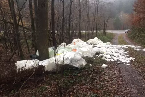 Eine Menge Styropor hat ein Unbekannter im Wald an der B10 entsorgt.