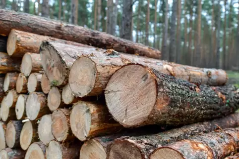 Dittweiler will seinen Wald weiter unter eigener Regie bewirtschaften.