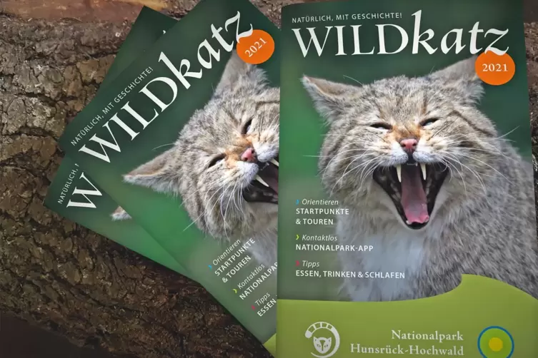 „Wildkatz“ heißt das neue Magazin des Nationalparks Hunsrück-Hochwald. 