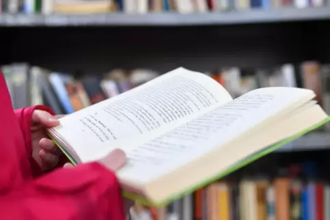 Oft ist die Entscheidung schwer, welches Buch man nehmen soll – für sich selbst oder als Geschenk für andere. Donnersberger Buch