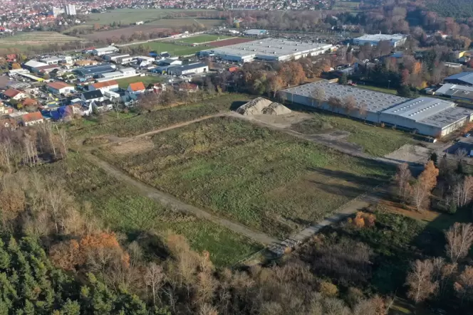 Auf dem 56.000 Quadratmeter großen Gelände in Haßlochs Süden sollte ein Logistikzentrum entstehen. Auf dem 56.000 Quadratmeter großen Gelände in Haßlochs Süden sollte ein Logistikzentrum entstehen.
