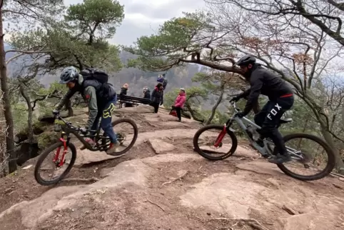 Tourismus-Faktor: Mountainbiken im Pfälzerwald.