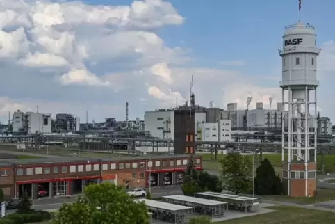 Das Gelände der BASF Schwarzheide GmbH.