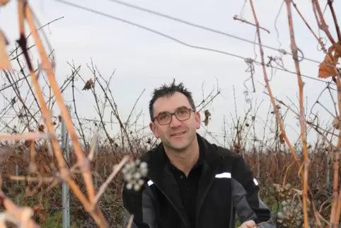 Winzer Christian Rogenwieser hofft auf Eiswein.