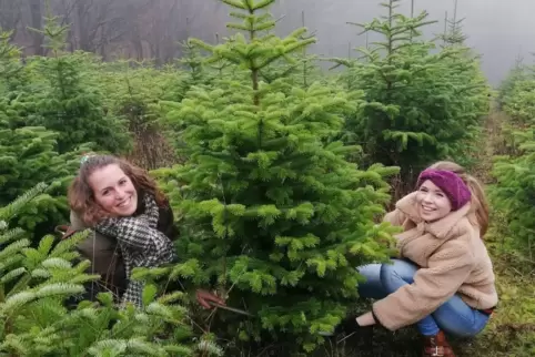 Unsere Volontärin Elisia Pek und unsere Mitarbeiterin Tabea Berger sägen sich erstmals selbst einen Weihnachtsbaum ab. 