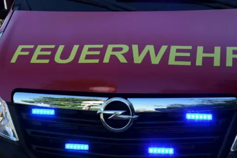 feuerwehrsymbol13