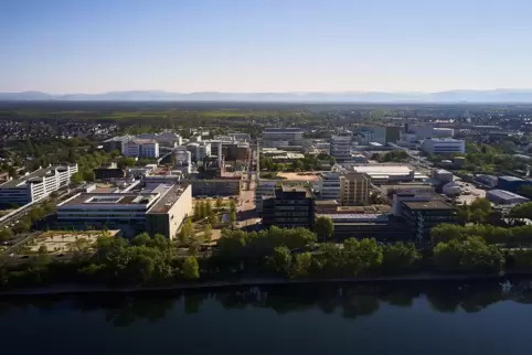 An seinem Standort Mannheim beschäftigt Roche rund 8400 Mitarbeiter. 
