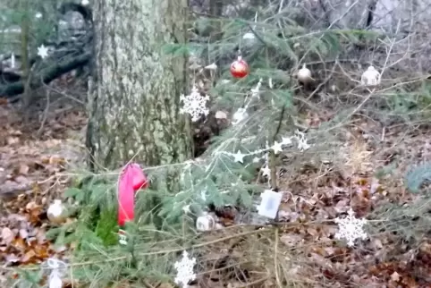 Auch ein kleiner Baum kommt groß raus.