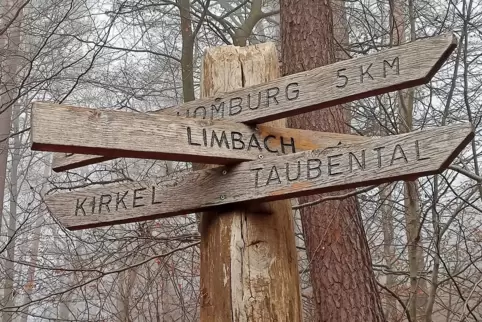 Die Firma MEG hat im Taubental im Kirkeler Wald eine Probebohrung veranlasst. Die Firma MEG hat im Taubental im Kirkeler Wald eine Probebohrung veranlasst.