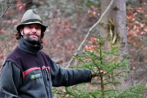 Von ausgefallenen Methoden, den Baum länger am Leben zu erhalten, hält Förster Jens Bramenkamp nichts.