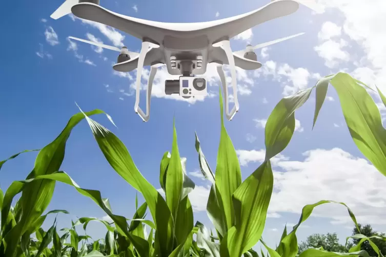 Auch mit Drohnen wird in der Landwirtschaft gearbeitet. Fast jeder zehnte Bauer in Deutschland verwendet sie. Ihre Kameras erken