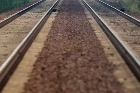 Tiere in der Nähe der Bahngleise.