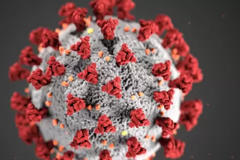 Modell des Coronavirus. 