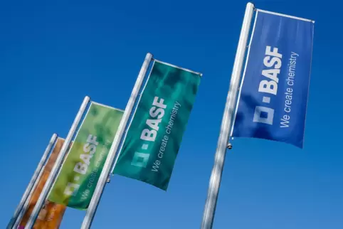 An ihrem US-Produktionsstandort in Kankakee holt die BASF bald ihre Fahnen ein.