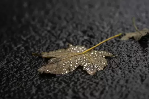 Regen und milde Temperaturen, das ist die Vohersage des Deutschen Wetterdienstes.