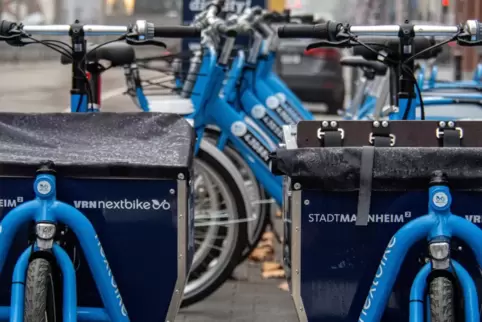 Mehr Platz als im Fahrradkorb: Bis zu 60 Kilo können in die Lastboxen der Räder geladen werden. 